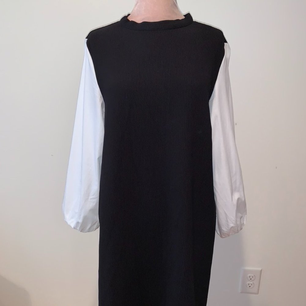 Zara Black and White Mini Dress